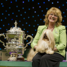 Crufts 2013